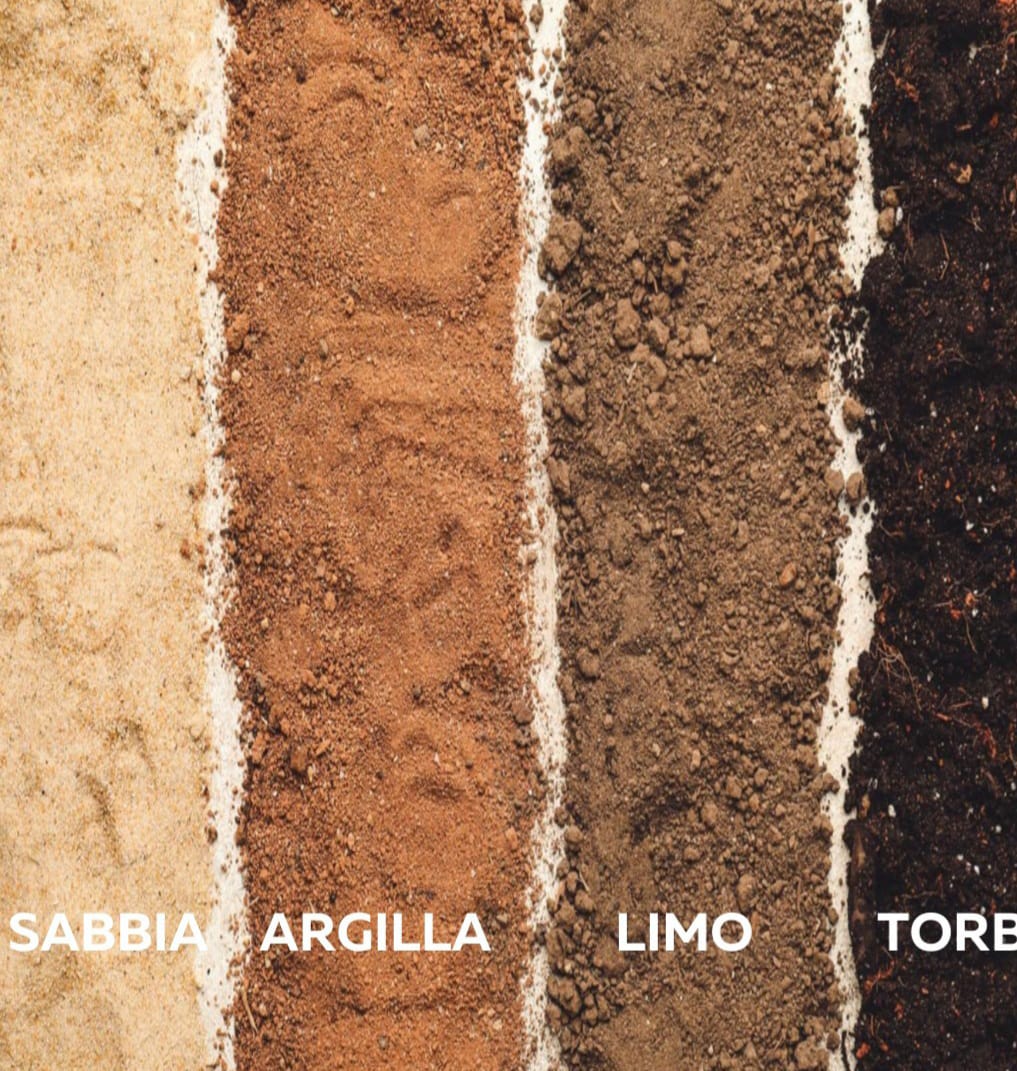 Analisi di laboratorio dei campioni di suolo